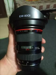 Canon 17-35 F2.8 L series full frame lens exchange possible