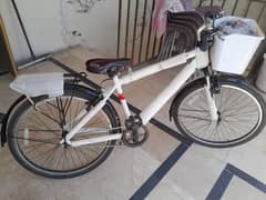 Cycle Made in China New