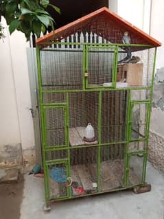 cages . 03006323309