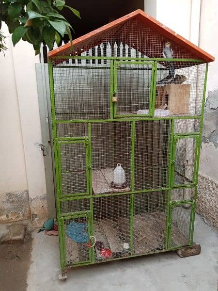 cages . 03006323309 0