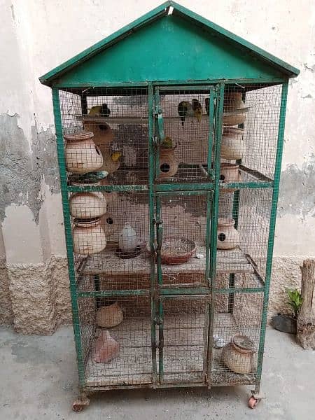 cages . 03006323309 1
