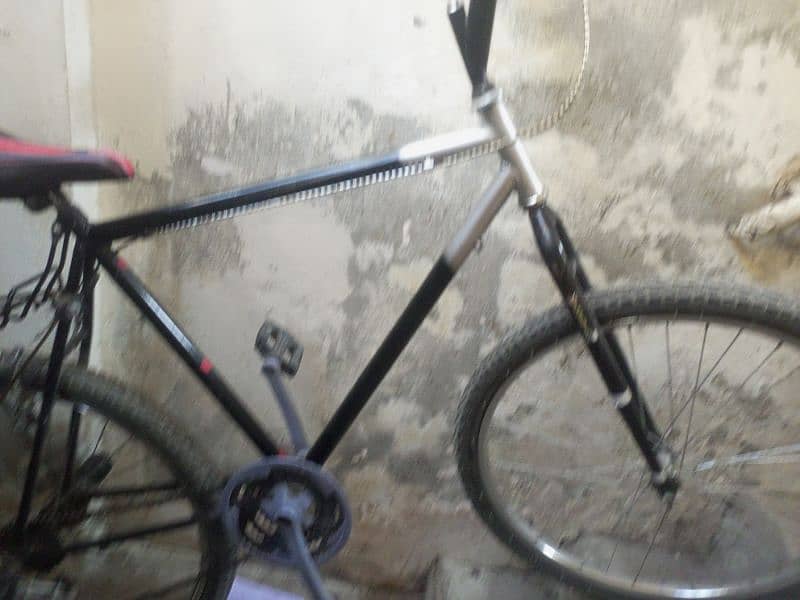 Phoenix Frame bicycle 0