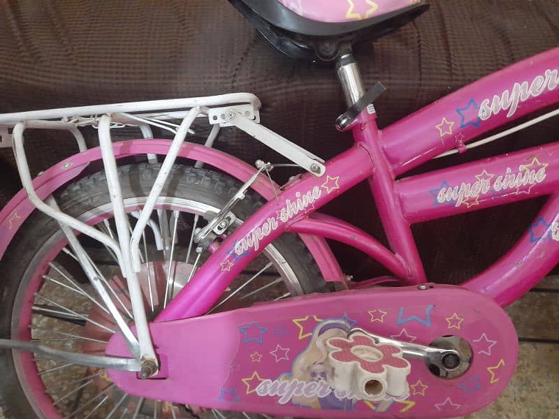 Girls Bicycle 2