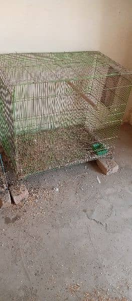 Urgent sale budgies and cages 6