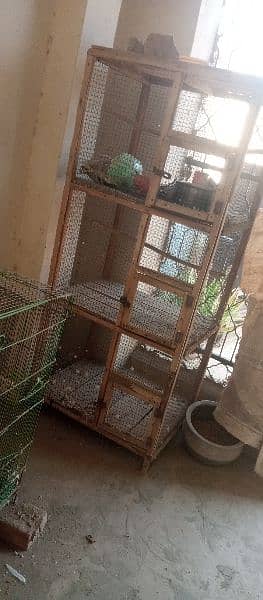 Urgent sale budgies and cages 9
