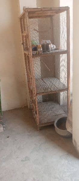 Urgent sale budgies and cages 10