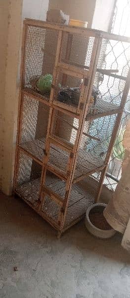Urgent sale budgies and cages 11