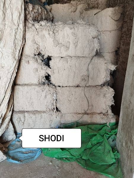 SHODI,Medium, 1 no shodi and Super cotton available 3