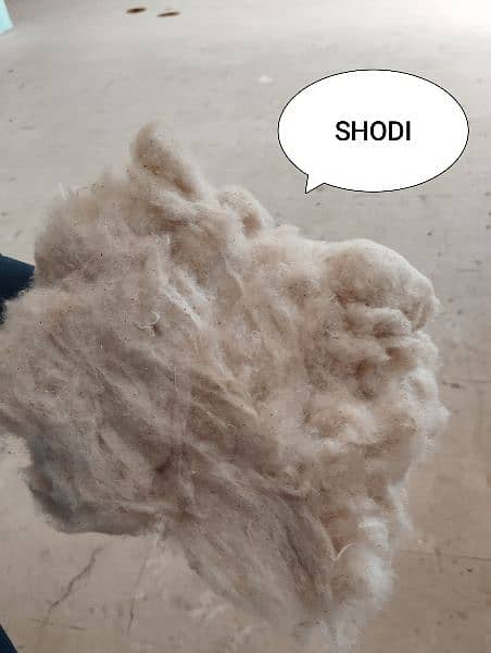 SHODI,Medium, 1 no shodi and Super cotton available 5