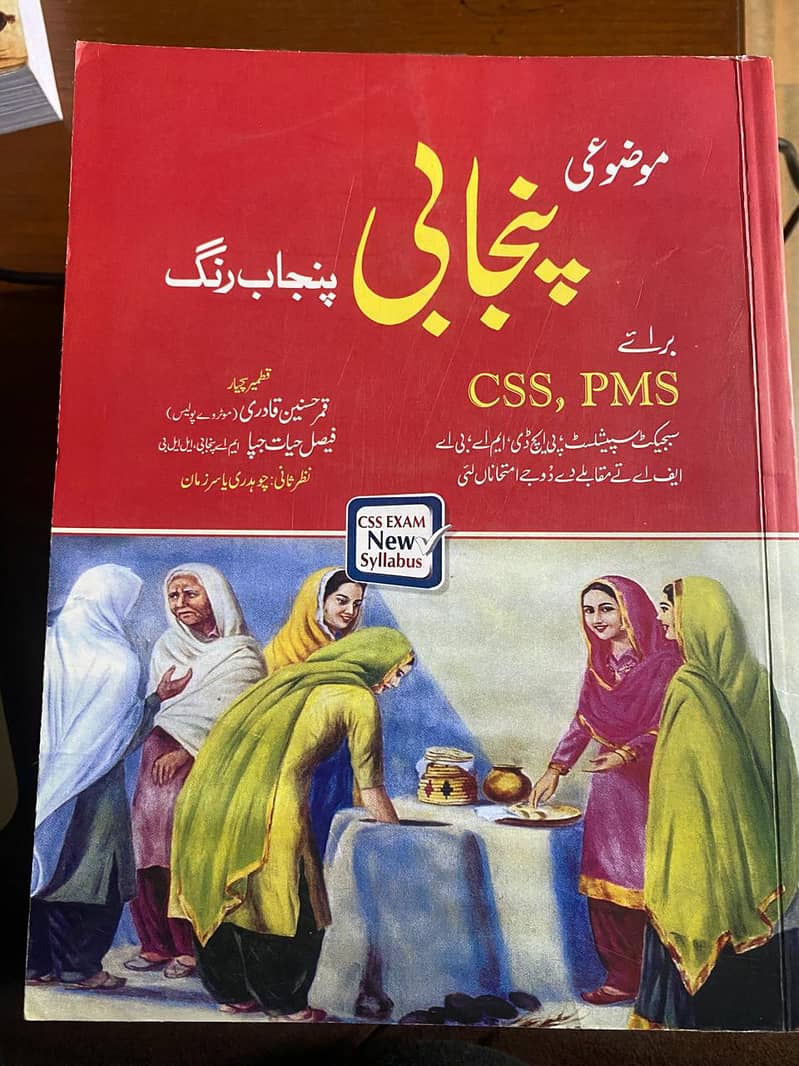 CSS/PMS Punjabi, Punjab Rung by JWT 0