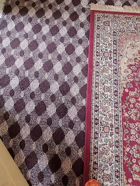 carpet only few months use 1