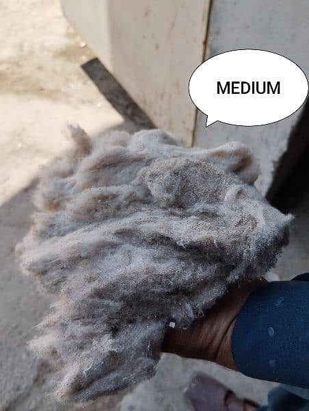 SHODI,Medium, 1 no shodi and Super cotton available 8