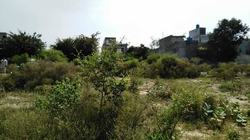 Hot Location 10 Marla Plot For Sale Surrounding Homes 3