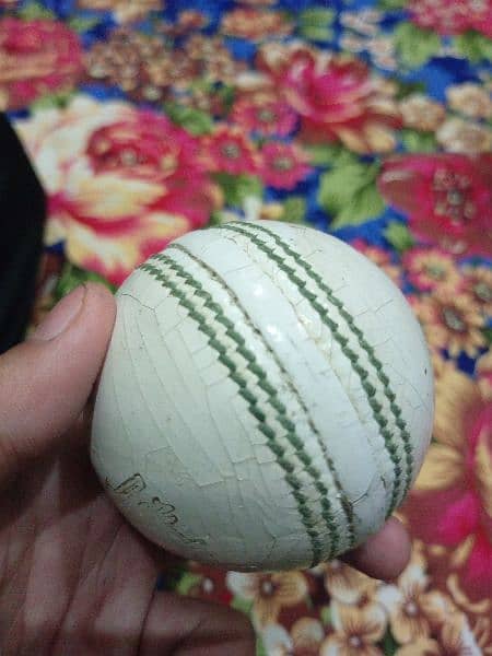 Quetta regeon white ball 1