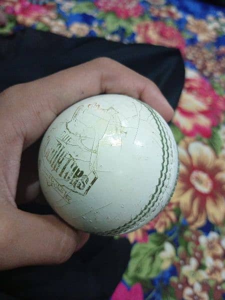 Quetta regeon white ball 2
