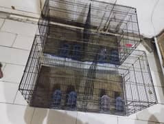 Umer and Zarrar Iron Hen/bird Cages - Set of 2