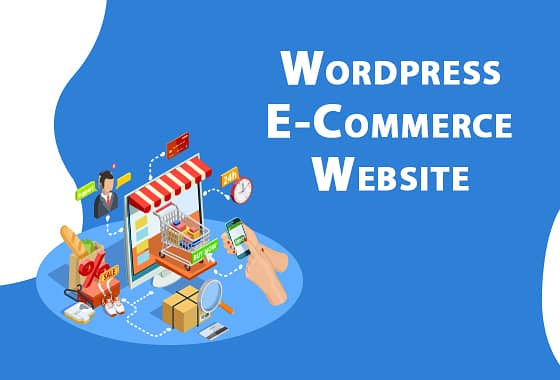 Website Designing | Ecommerce Website | Web Development Services 0