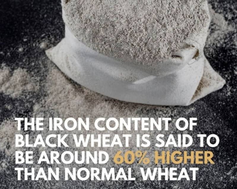 Rare Black Wheat - Rich in Flavor and Nutrition! 1