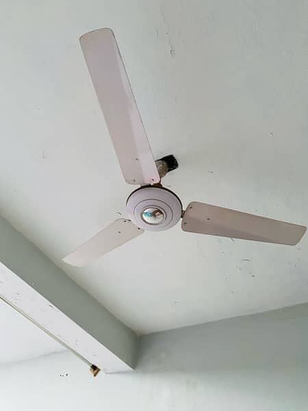 ceiling fan 3