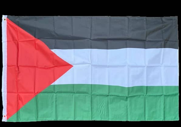 Digital Flag / Hard Finish Flag & Golden pole & Palestine flag & Scarf 9