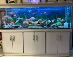 Fish Aquarium For Sale with Fishes