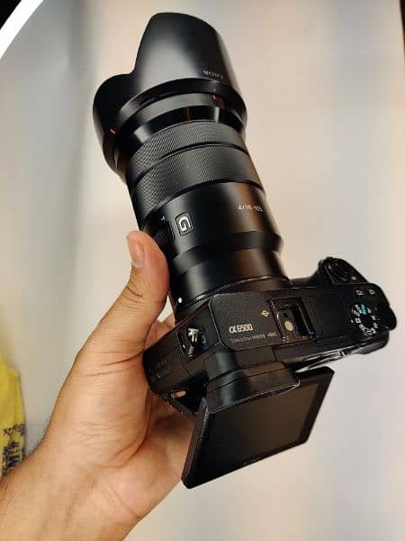 Sony A6500 with 18 105 f4 G Master Original Lense 5