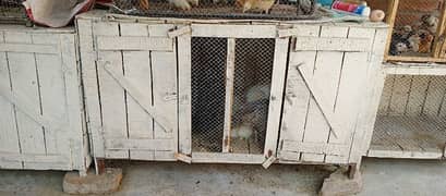 CAGE FOR SALE Hens best