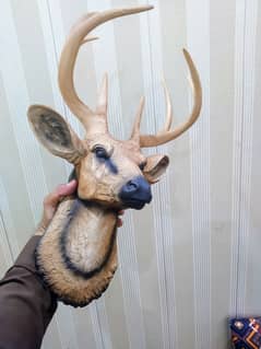 Deer head decorative