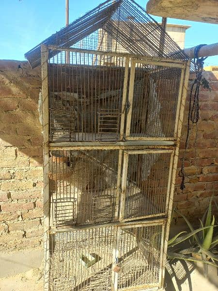 parrots cage 0