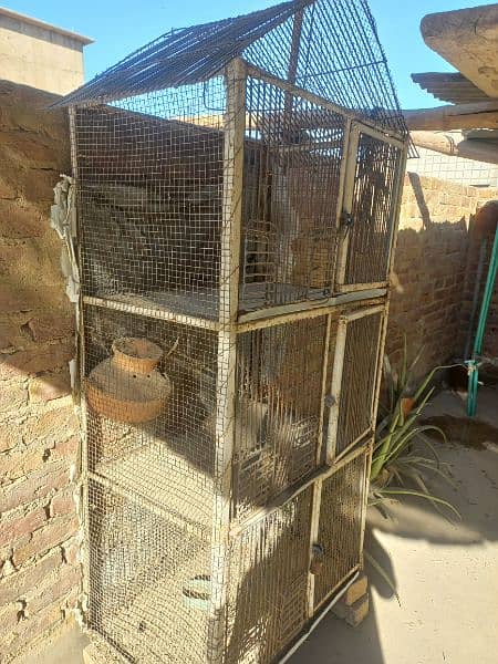 parrots cage 1