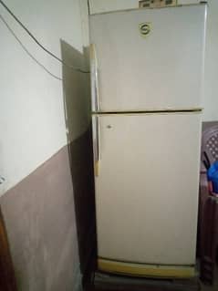 PEL fridge