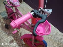 barbie cycle