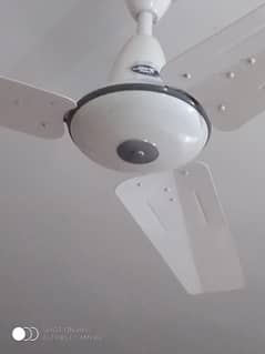 Ceiling Fan / PAK FAN