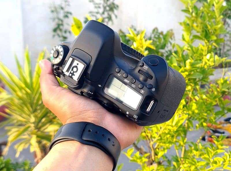 dslr Canon 80d (10/10++) Professional Body 3