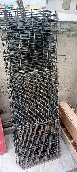 Cage for Fisher or Love Birds 6