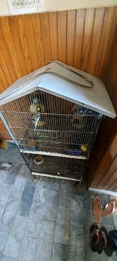 parrot cage good condition