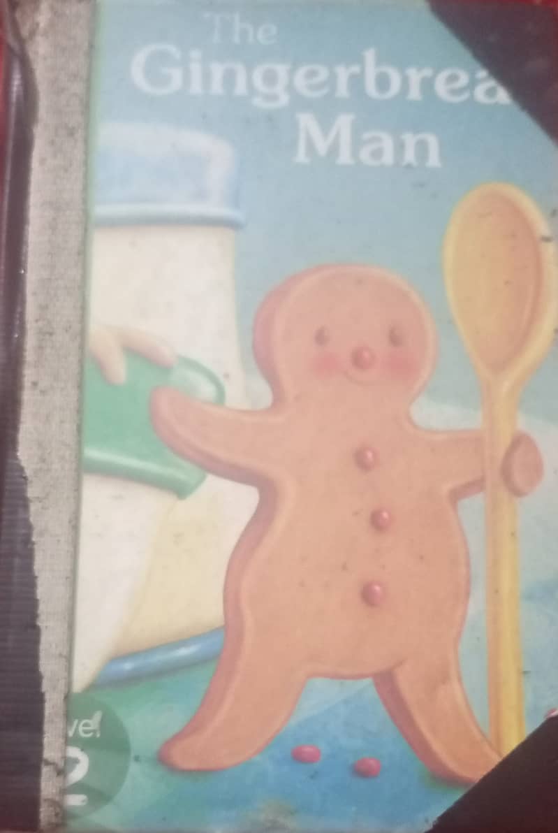 gingerbread man 0