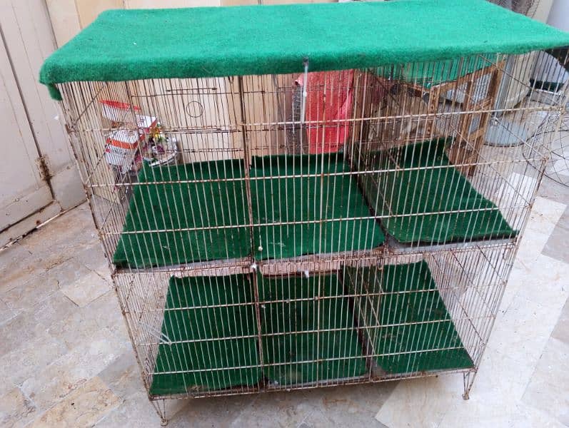 steel wire cage 1