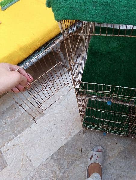 steel wire cage 5