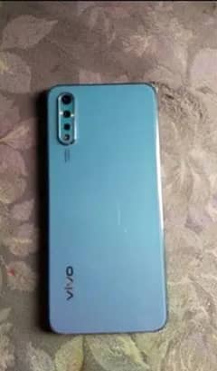 vivo