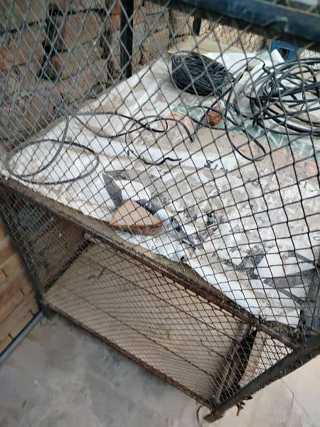 Kabutar and dog ,cat iron cage 4