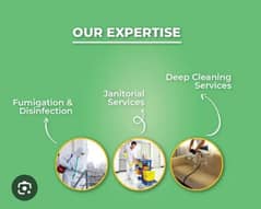 House deep cleaning , sofa cleaning, carpet cleaning 0
