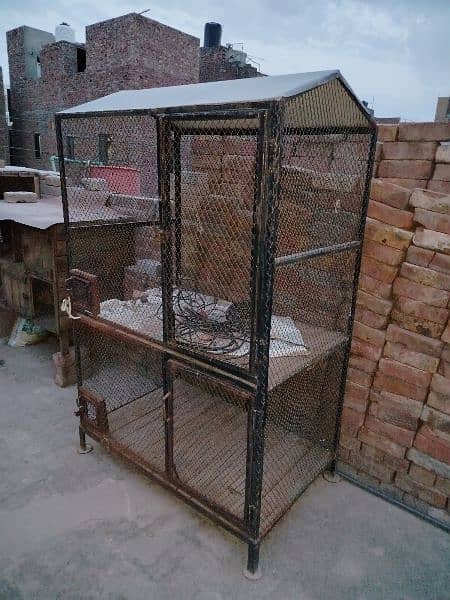 Kabutar and dog ,cat iron cage 2