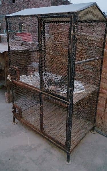 Kabutar and dog ,cat iron cage 7