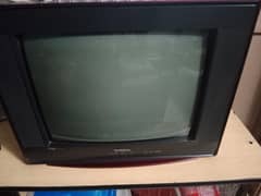 Nobel T-V for sale contact (03104763061)