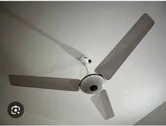 10/10 condition one piece brand Pak fans 56 inches AC 220V