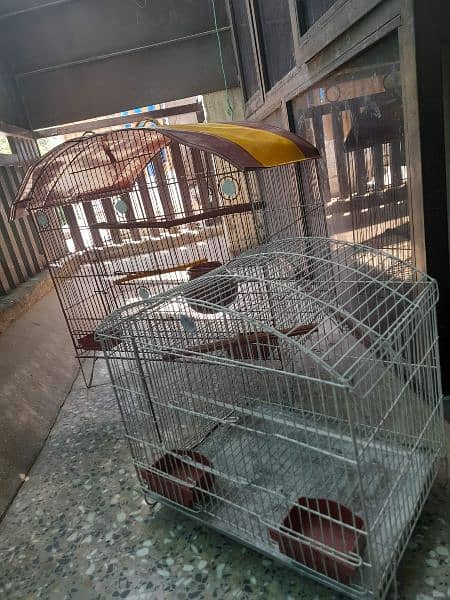 Parrots cage 1