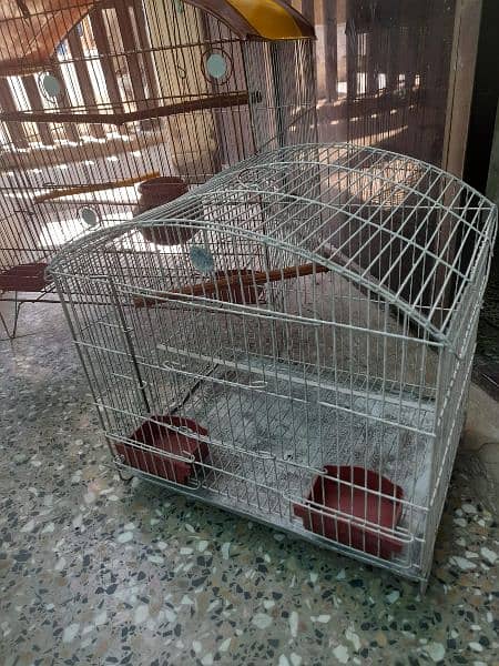 Parrots cage 2