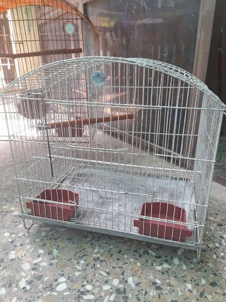 Parrots cage 6