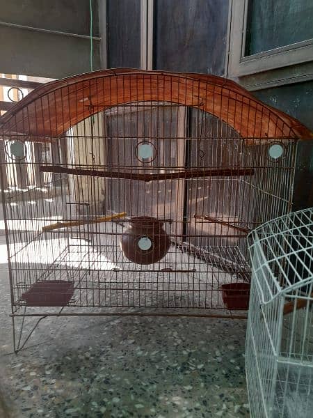 Parrots cage 7